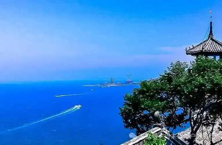 国庆4天|又见61长岛养马岛|与海鸥同行の深度游长岛