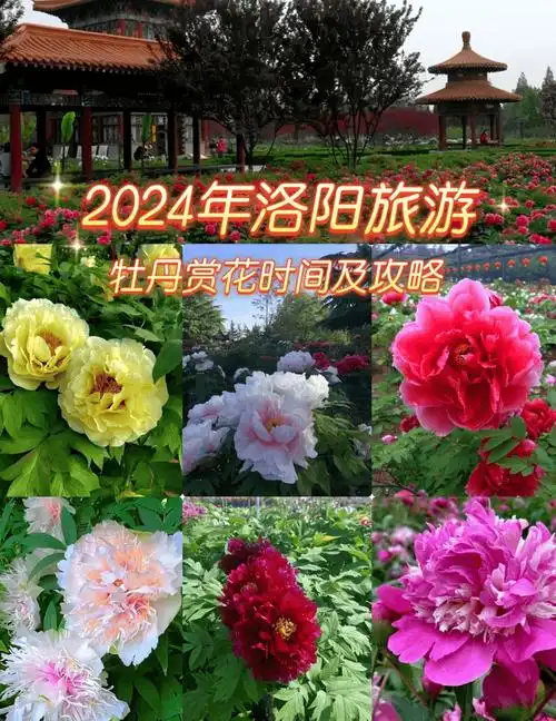 河南牡丹园门票多少钱河南牡丹园介绍景点看完这一篇就知道了