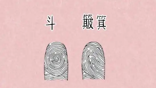 手指上10簸箕的人命运(手指上10个簸箕的女人命运)