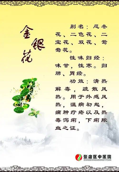 金银花 源头直批 精挑细选 自产自销 绿色环保