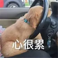 表示自己心很累的图片带字_微信头像图片大全