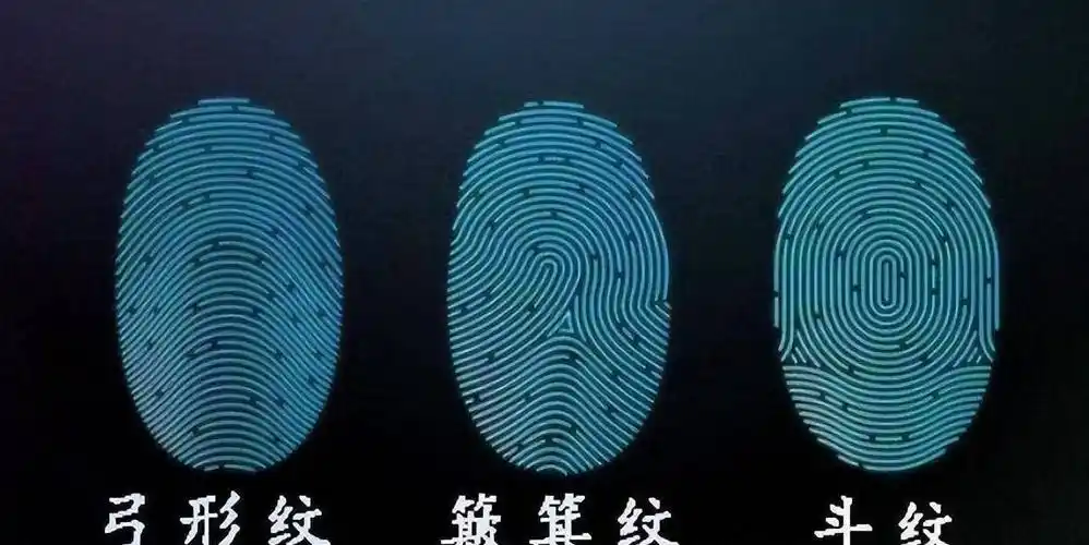 手纹8个斗(手纹8个斗2个簸箕)