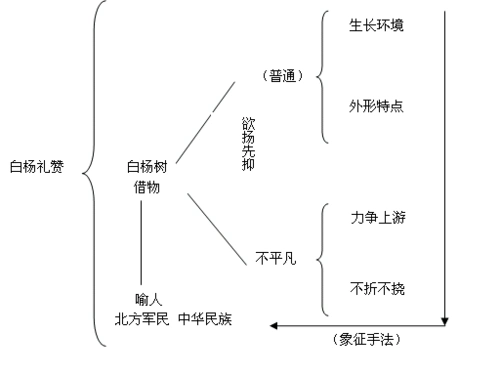 《白杨礼赞》板书设计(5篇)