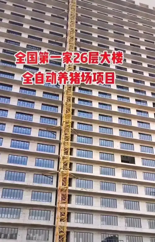 震撼!建26层高楼给猪"住",养猪场高度为何屡破纪录?