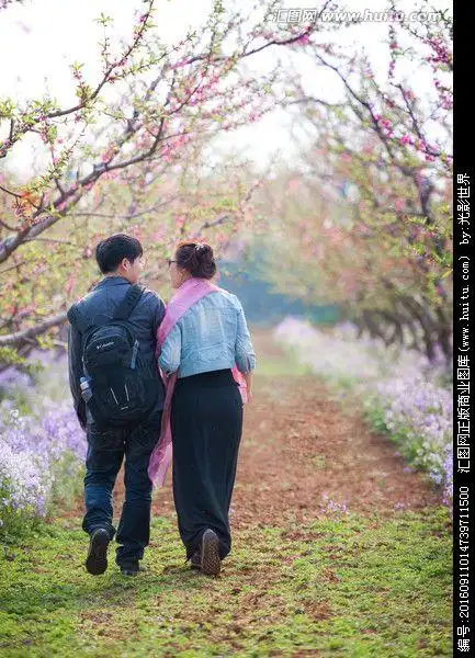 傍晚的血色桃花