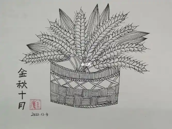 124麦穗线描彩铅