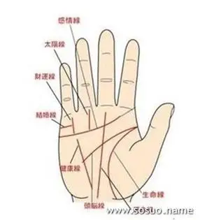 两条生命线图解,有两条智慧线好吗