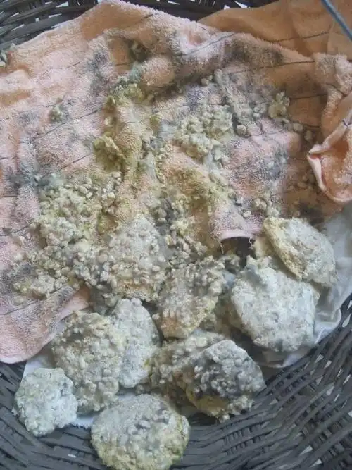 这个还能不能加工了?