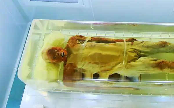 天伦之乐享自驾游荆州