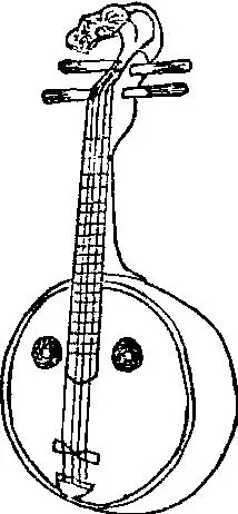 阮-音乐-专业词典