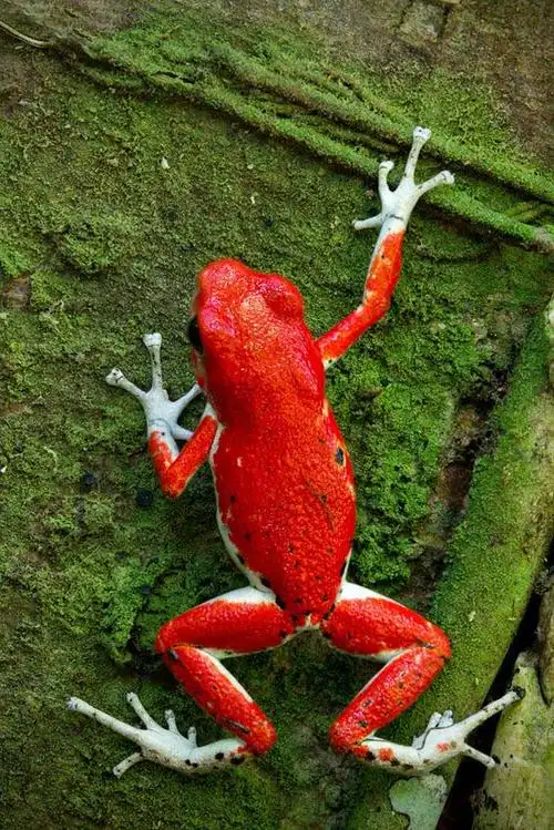 给面小站geimiancom