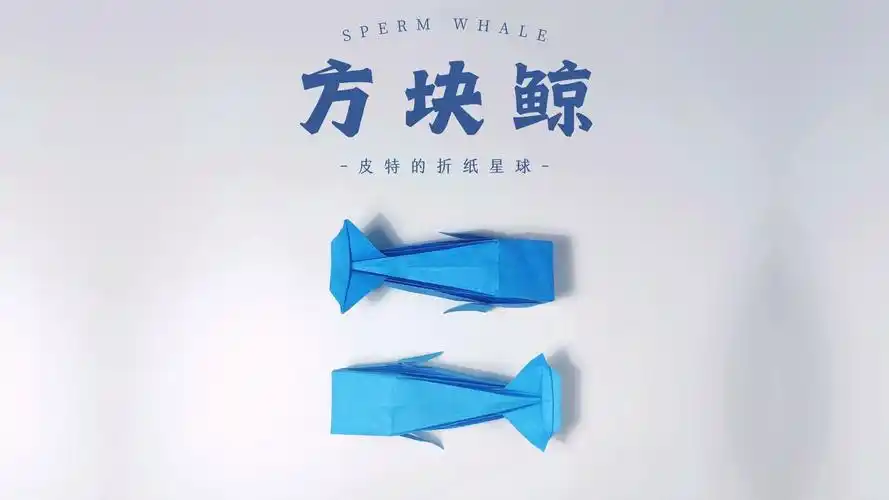 折纸展示柜 | 方块抹香鲸 sperm whale