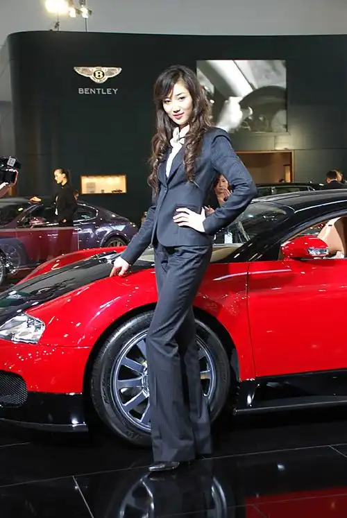 看了几组车展的片子,似乎没看到布加迪啊