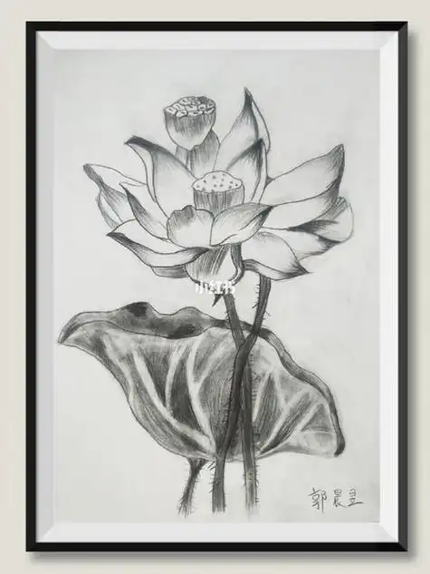 铅笔画荷花那就画一朵素描荷花呗零基础小白,素描荷花素描荷花素描