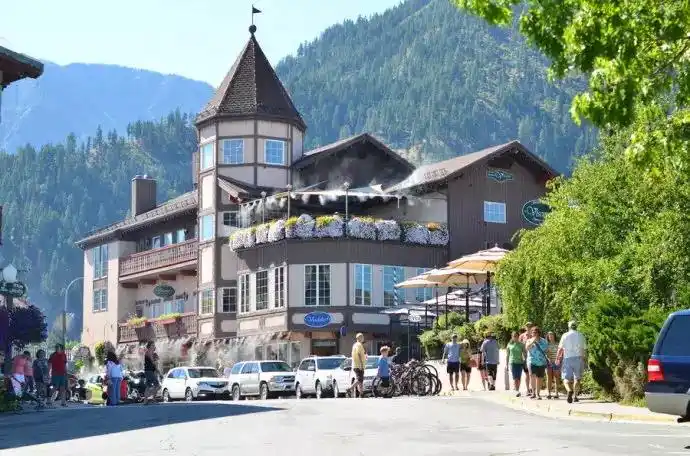 在西雅图的群山之中做一场有关德国的美梦