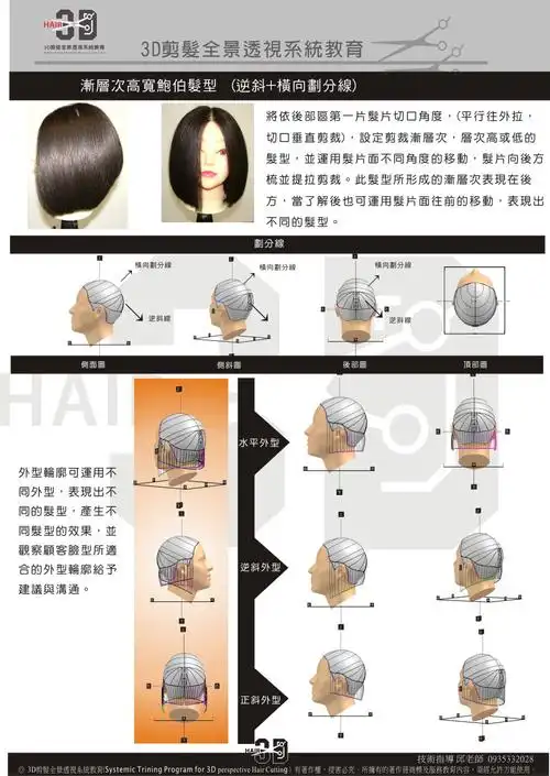 【3d剪发全景透视系统教育】 学院课程:基础课程