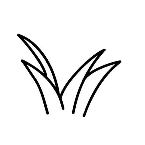 一棵小草小草简笔画简单画法