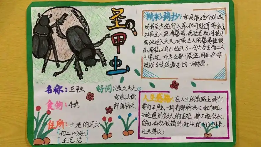 《昆虫记》名著阅读活动——读书卡片展示