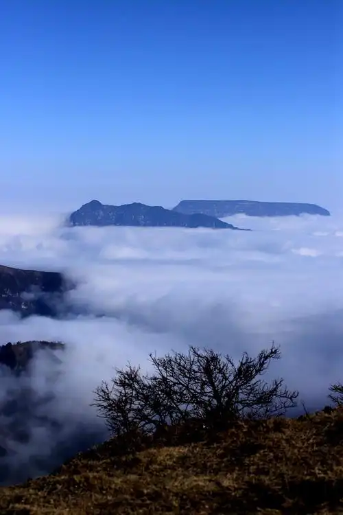 苍茫云海间-四川汉源县轿顶山