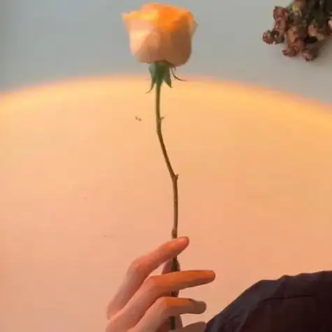 手拿玫瑰给你带来爱的味道成熟帅哥头像图片大全