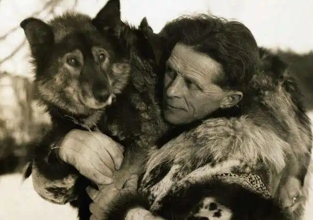 电影多哥原型照片拍摄花絮还原演多哥的狗狗怎么拍的