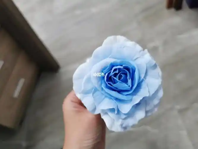 超轻粘土花朵练习蓝色玫瑰