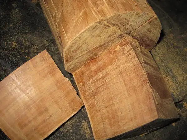 檀香木是什么样子图片