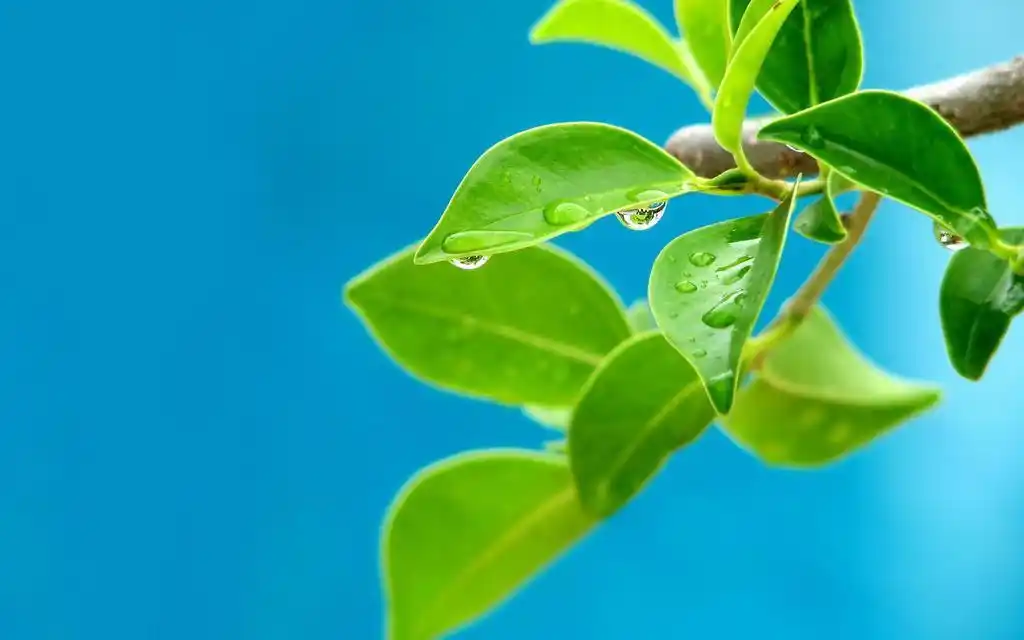 超清新风景,高清壁纸,风景图片-回车桌面