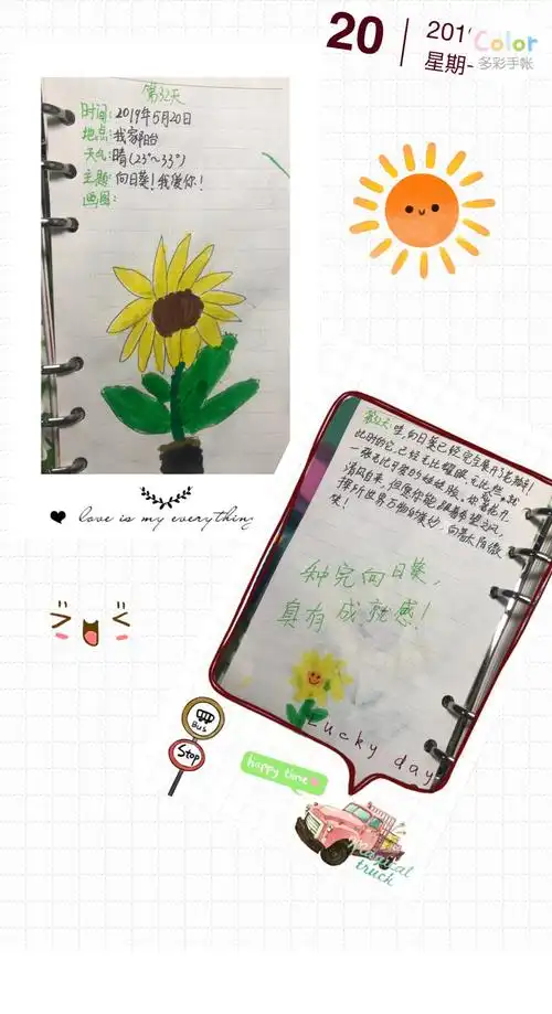 添添的向日葵成长记录