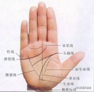 一个人的事业牢固与否,不会受失业之苦,可从事业线看出一点眉目来,起