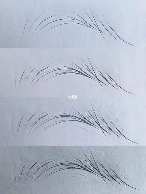 野生眉画法步骤大全