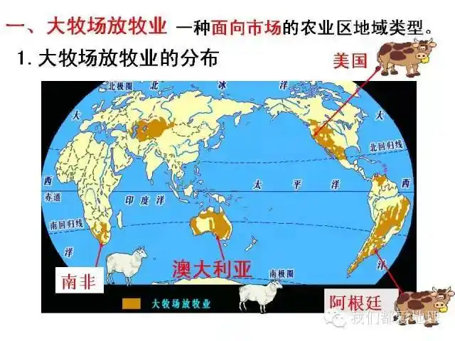 高中地理必修2精讲-以畜牧业为主的农业地域类型