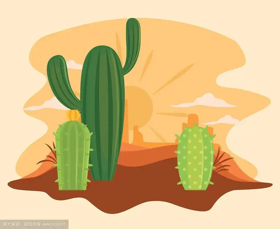 仙人掌在沙漠风景卡通