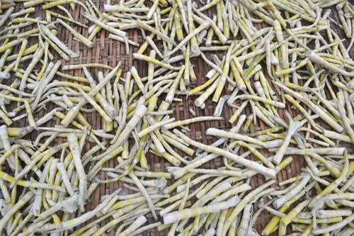 【麻辣e购】大巴山木竹笋子的一生,从深山到餐桌 !一分钱一分货!