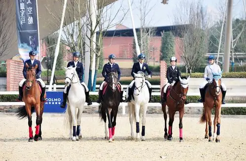 美的微晶冰箱马术嘉年华在渝举办破圈体验鲜活人生