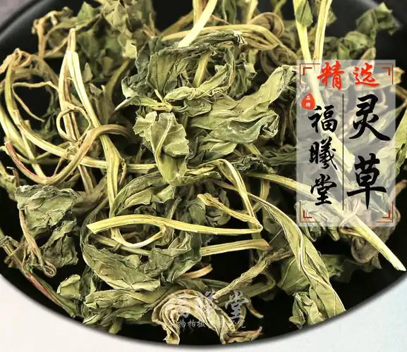 福曦堂灵香草 灵草 香草 广零陵香 满山香 香料
