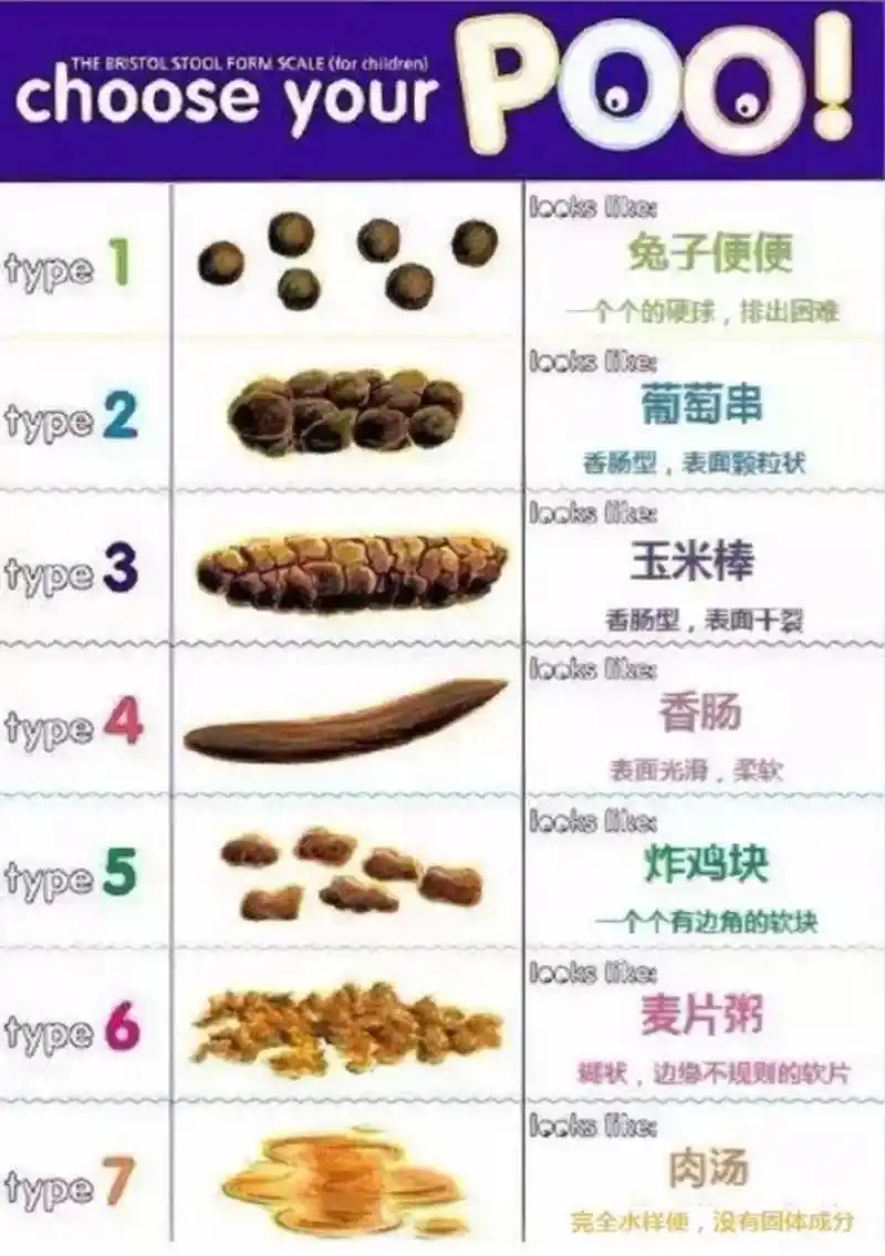 图一是大便的性状(布里斯托大便分类法),从类型1到类型7,性状逐戒变