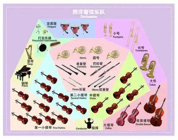 西洋乐器演奏方式分类图-西洋乐器的种类图片及名称