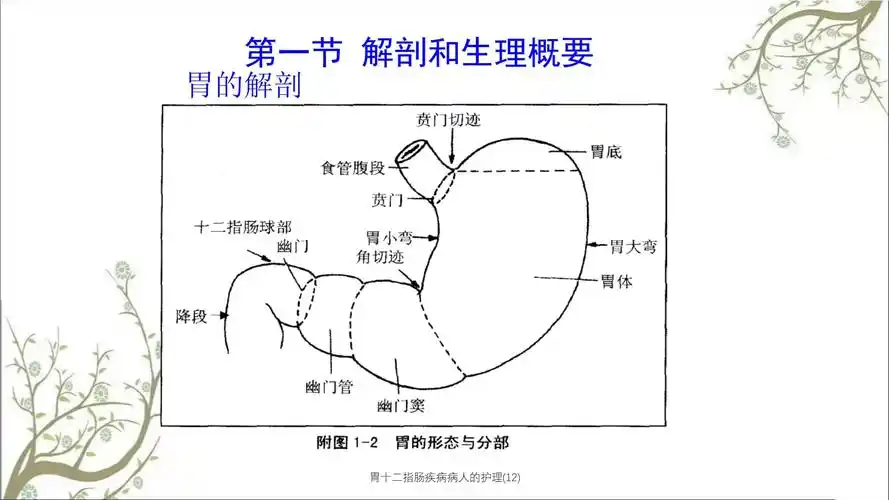 胃十二指肠疾病病人的护理12