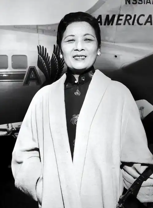 宋美龄106岁去世,不久贴身厨子在家中自尽,事后妻子透露出缘由