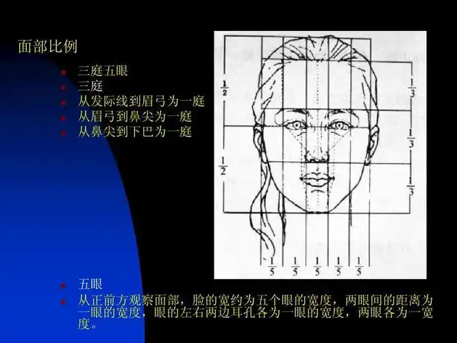 小学教育 其它课程 人物简笔画ppt 面部比例           三庭五眼 三庭