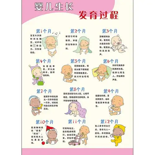 包邮婴儿生长发育过程海报母婴挂画妇产科广告胎儿发育全过程展板