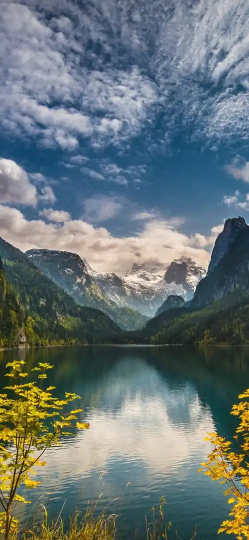 壁纸|高清手机壁纸