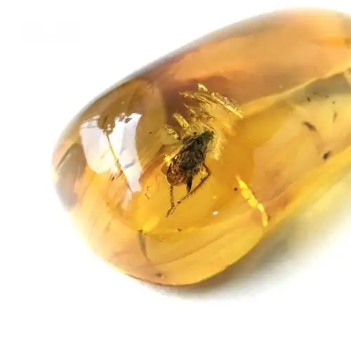 天然墨西哥琥珀虫珀吊坠