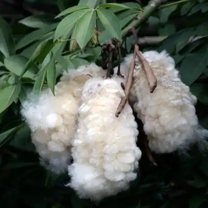 天然纤维,木棉,木棉纤维的小动物和鸟网 (whatsapp   84: 845-639)