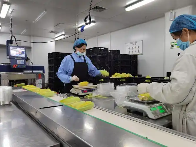 超市生鲜工厂提稳"菜篮子"