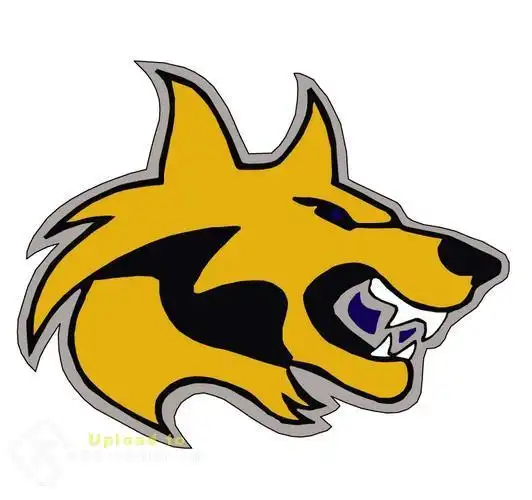 cool::cool:… 查看本楼