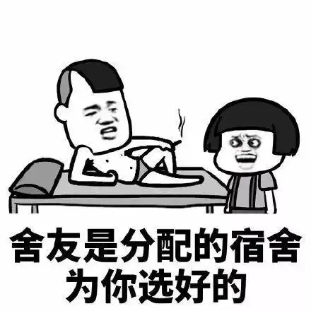 网络一线牵珍惜这段缘表情包舍友是分配的宿舍为你选好的