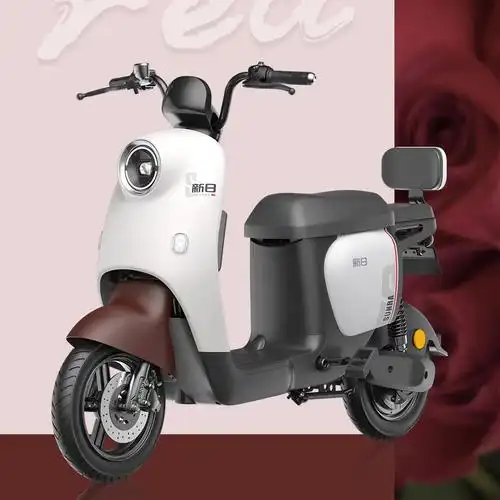 0电动车小龟王新国标男女小电瓶车家用轻锂电博锐-阿里巴巴