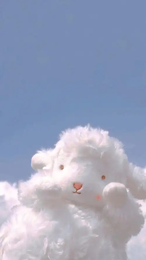 壁纸bunnies小羊壁纸